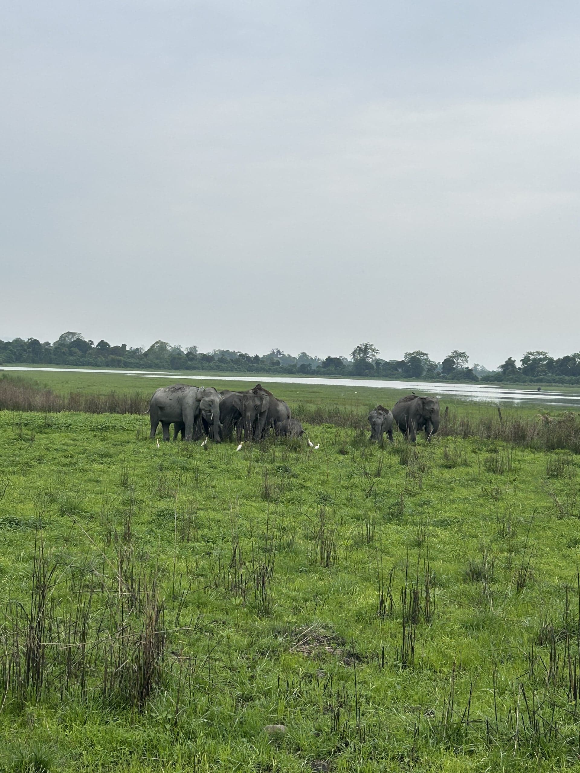 Arunachal - Tawang - Kaziranga
