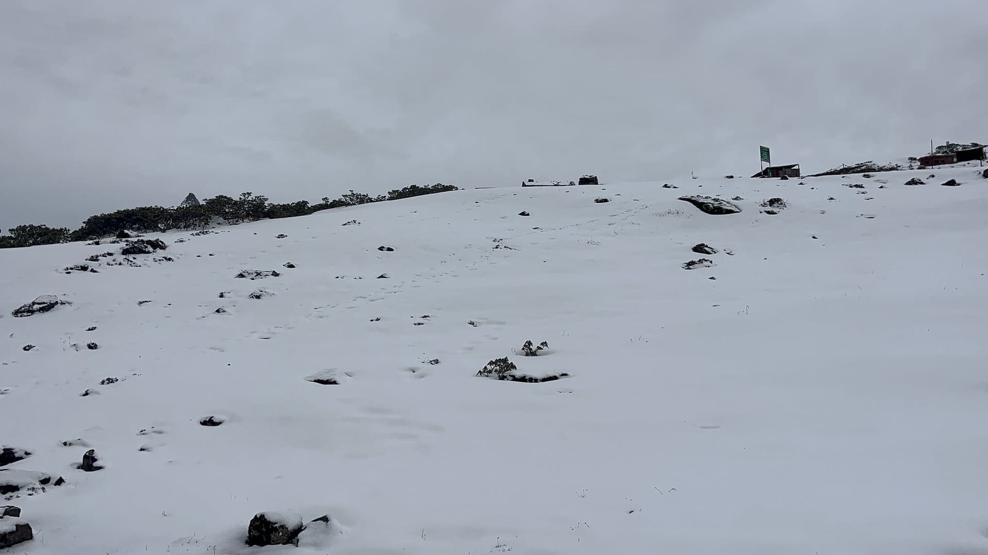 Arunachal - Tawang - Kaziranga