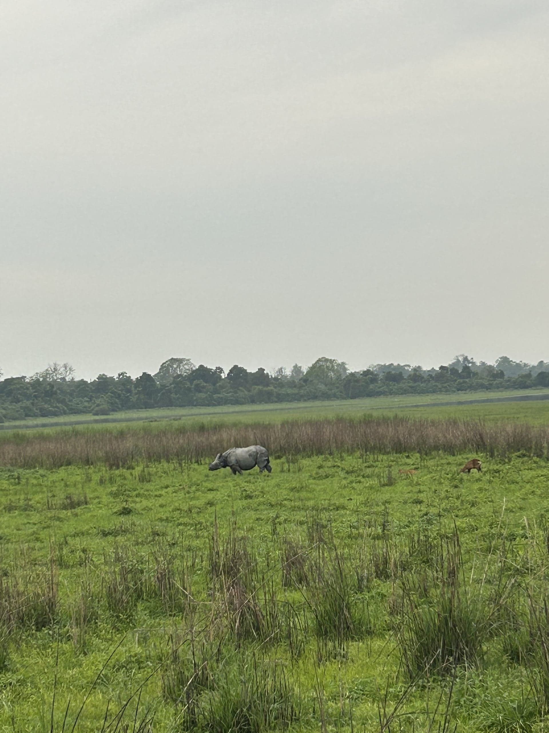 Arunachal - Tawang - Kaziranga