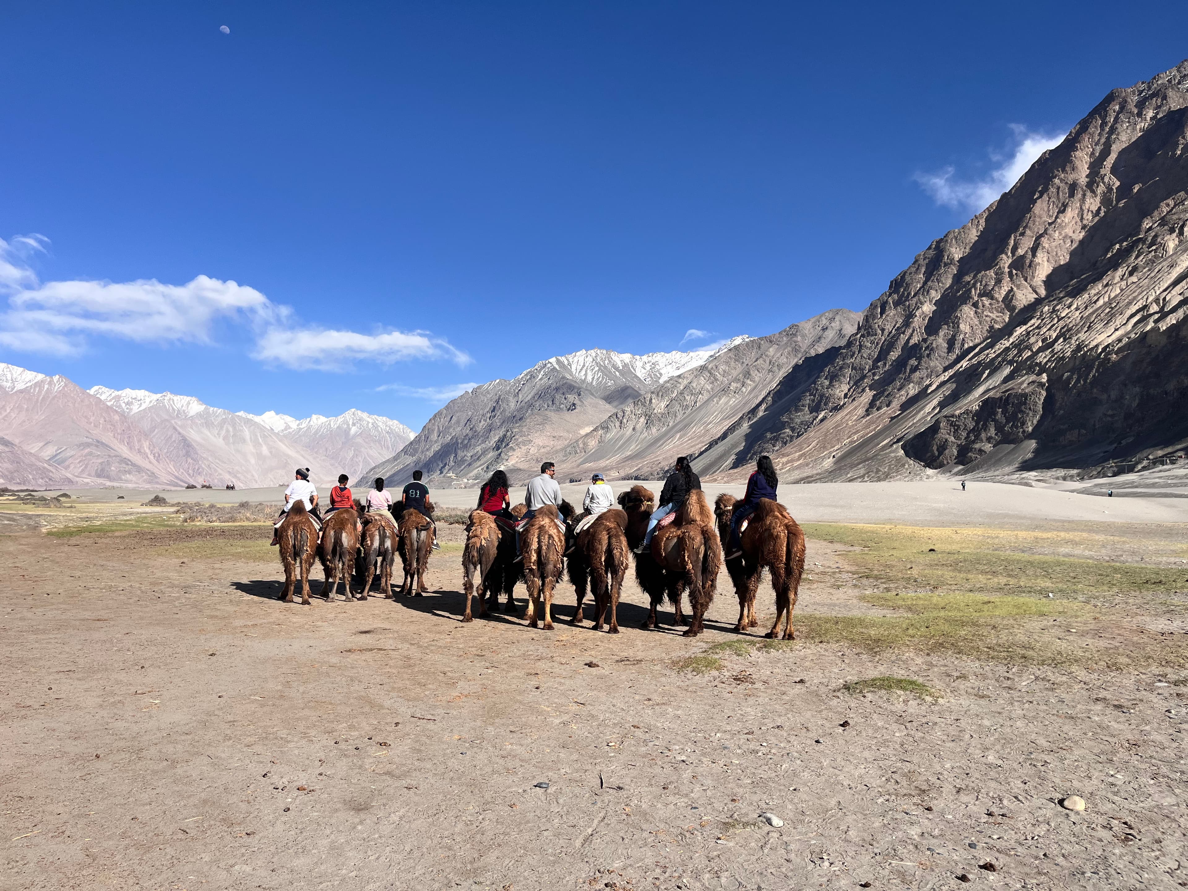 Camel ride, Sandunes, Nubra valley