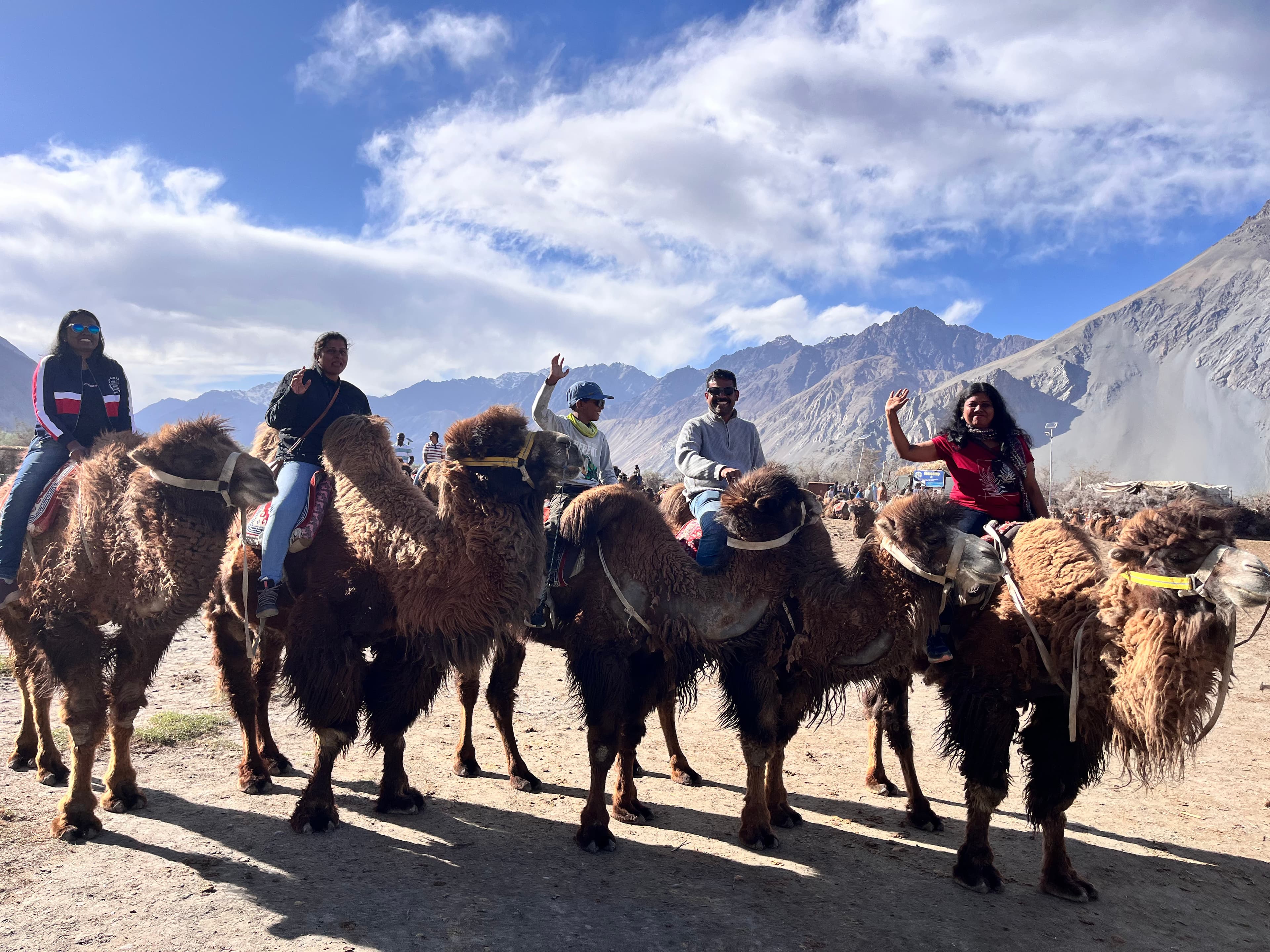 Camel ride, Sandunes, Nubra valley