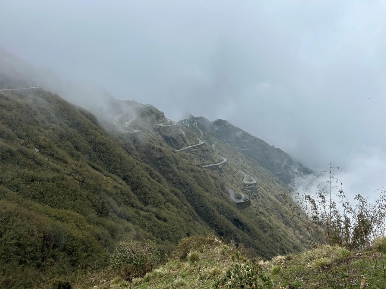 Old Silk Route, Zuluk